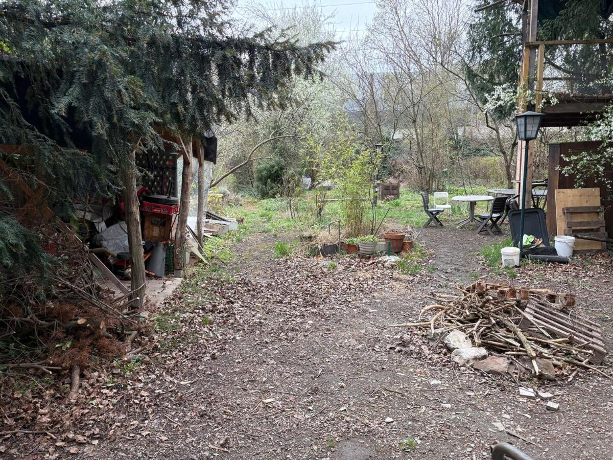 Dornroeschenschlaf Am Stadtrand Mit Anbindung Ans Zentrum - 30 Minuten * Wien